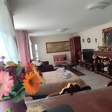 Gite Luxury A Soultzeren מראה חיצוני תמונה